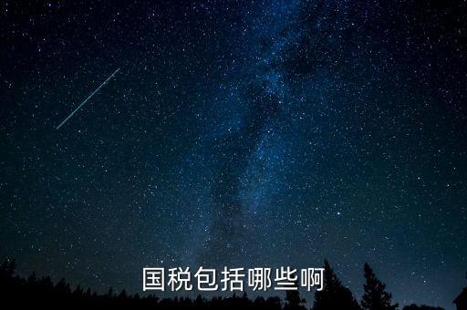 國稅涵蓋什么，國稅包括哪些啊