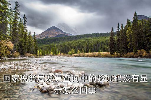 國稅查發(fā)票驗(yàn)證碼是什么，查稅票驗(yàn)證碼42是啥意思呀