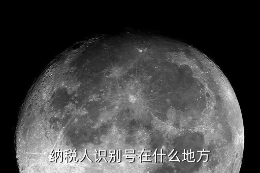 納稅人身份在什么地方查，納稅人識別號在哪查