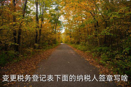 地稅申報(bào)納稅人簽章是什么意思，變更稅務(wù)登記表下面的納稅人簽章寫(xiě)啥