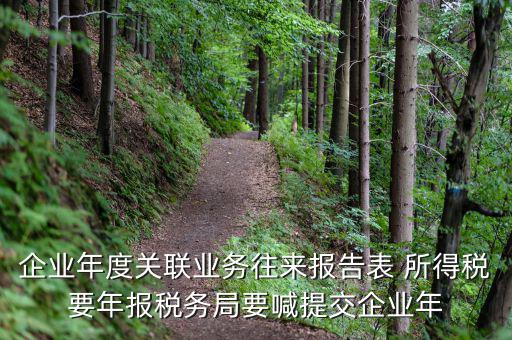 國(guó)稅關(guān)聯(lián)表是什么意思，所得稅中關(guān)聯(lián)關(guān)系是什么意思