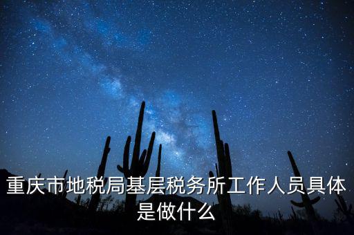 重慶地稅局前臺做什么的，重慶市地稅局基層稅務所工作人員具體是做什么
