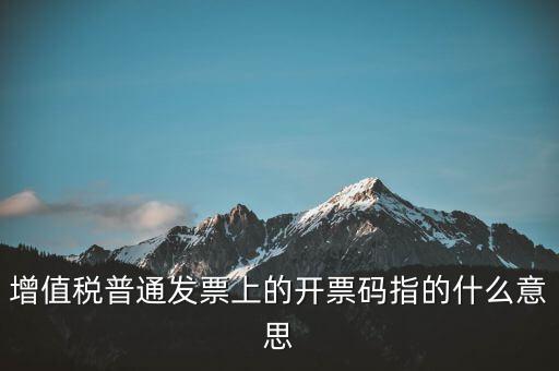 稅控盤開票碼是什么，增值稅普通發(fā)票上的開票碼指的什么意思