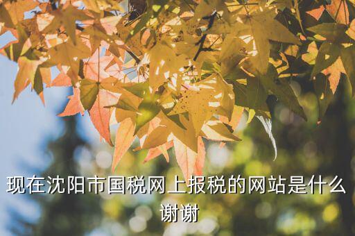 國(guó)稅交稅的網(wǎng)站是什么，現(xiàn)在沈陽(yáng)市國(guó)稅網(wǎng)上報(bào)稅的網(wǎng)站是什么 謝謝