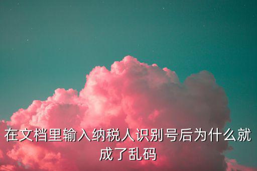 個稅導(dǎo)入模板為什么是亂碼，在文檔里輸入納稅人識別號后為什么就成了亂碼