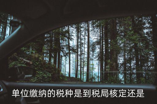 什么時(shí)候 稅種核定，單位繳納的稅種是到稅局核定還是