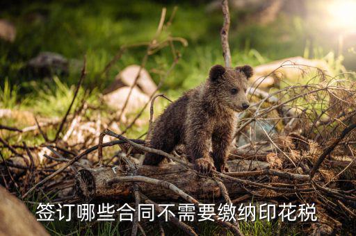 什么合同需要交印花稅，要交印花稅的合同有哪些