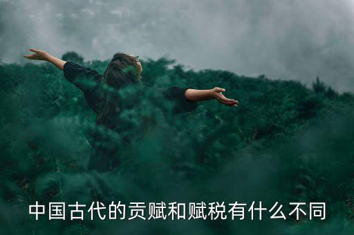 賦稅古代指什么，秦朝賦稅嚴(yán)重被稱為什么的