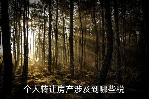 個人出售住房交什么稅，賣房子要交20的稅