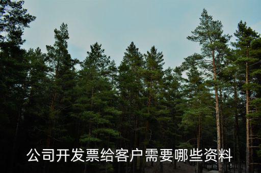 公司開票需要什么資料，請問開發(fā)票需要什么資料