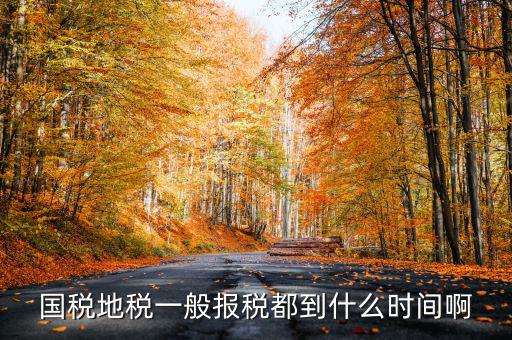 國稅上報省局什么時候，國稅地稅網(wǎng)上報稅時間