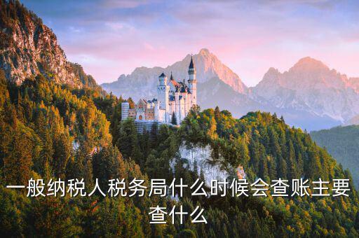 稅局什么時間搖號稽查，一般納稅人稅務(wù)局什么時候會查賬主要查什么