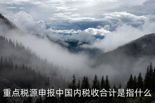重點稅源申報中國內稅收合計是指什么
