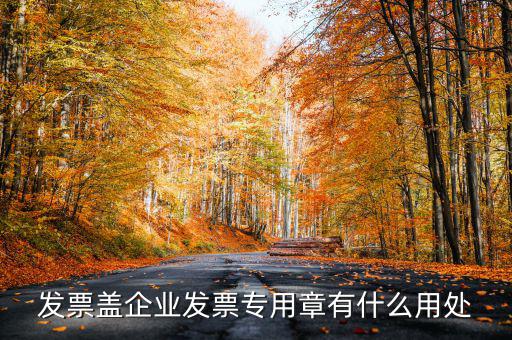 發(fā)票專用章有什么用，公司的發(fā)票專用章是干嘛用的
