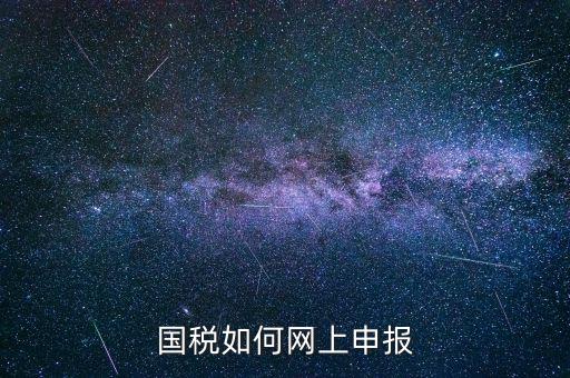 企業(yè)國稅申報上什么網，企業(yè)稅務申報去哪個網站