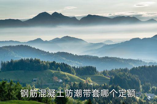迎春套什么定額，套什么定額
