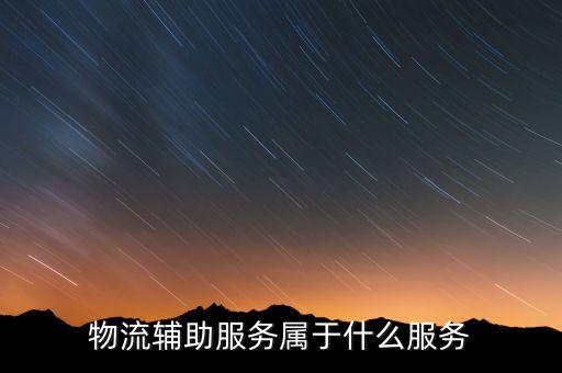 物流輔助服務(wù)費(fèi)是什么意思，服務(wù)費(fèi)是什么
