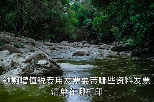 公司領(lǐng)票需要什么資料，領(lǐng)購增值稅專用發(fā)票要帶哪些資料發(fā)票清單在哪打印