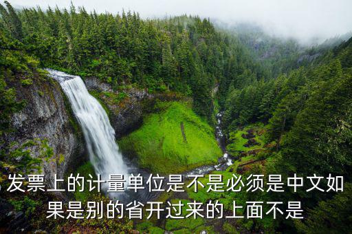 發(fā)票計量單位是什么，發(fā)票上的計量單位是不是必須是中文如果是別的省開過來的上面不是