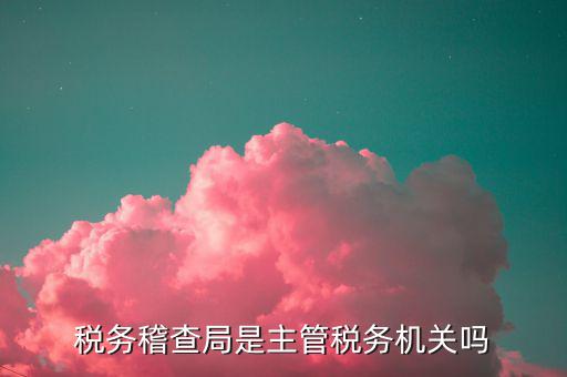 稅務稽查局是主管稅務機關(guān)嗎