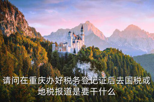 地稅報道是什么，地稅報的是哪些稅月報還是季報還是年報