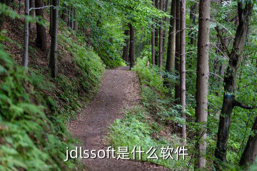 jdlssoft是什么文件，這個(gè)文件是什么有什么用可以刪嗎