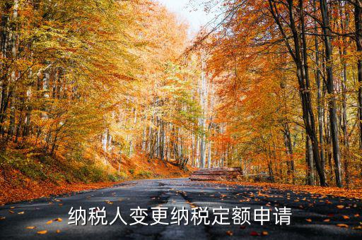 變更納稅定額什么意思，調整應納稅所得額什么意思