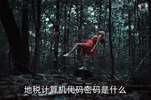 地稅稅務登陸密碼是什么意思，湖北地稅網(wǎng)絡發(fā)票登陸密碼是什么急急急