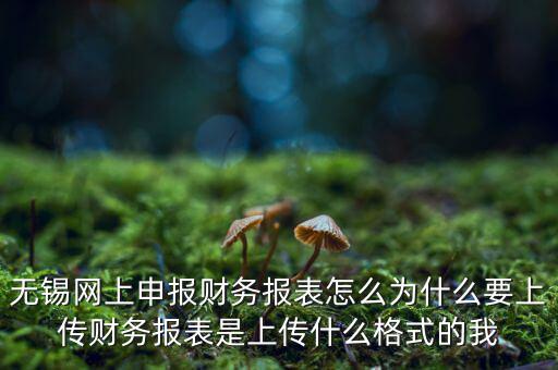 為什么要上傳報(bào)表，無(wú)錫網(wǎng)上申報(bào)財(cái)務(wù)報(bào)表怎么為什么要上傳財(cái)務(wù)報(bào)表是上傳什么格式