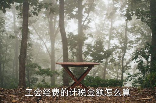 工會經(jīng)費(fèi)的應(yīng)稅項(xiàng)是什么，工會經(jīng)費(fèi)屬于稅嗎屬于支付的稅費(fèi)嗎