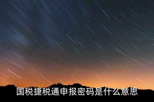 國(guó)稅申報(bào)登陸密碼是什么意思，國(guó)稅第一次網(wǎng)上申報(bào)的登陸密碼是什么