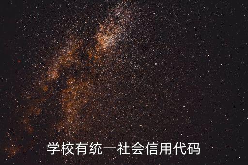 社會(huì)識(shí)別代碼是什么問(wèn)題，社會(huì)信用代碼是不是納稅人識(shí)別號(hào)