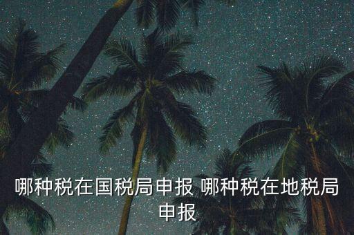 國稅局可以申報什么稅，在國稅申報的稅種有哪些稅率是多少