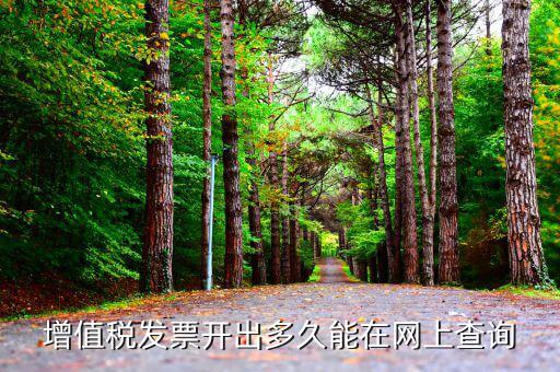 發(fā)票什么時候網(wǎng)上能查到，對方開具的增值稅發(fā)票什么時候能上網(wǎng)查詢到