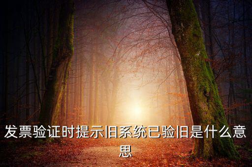 發(fā)票的驗舊時間是什么意思，發(fā)票驗證時提示舊系統(tǒng)已驗舊是什么意思