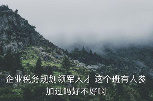 稅務(wù)領(lǐng)軍人才做什么，常溫下超導(dǎo)體可用來做什么