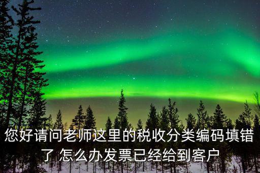 您好請問老師這里的稅收分類編碼填錯了 怎么辦發(fā)票已經給到客戶