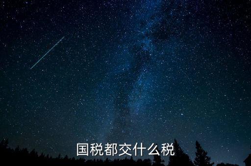 國稅五項稅種都是什么，國稅包括哪些稅種