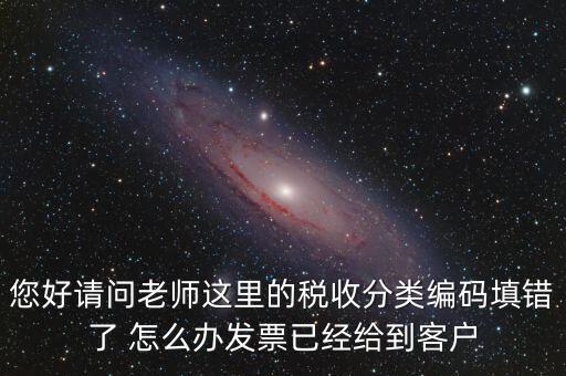 稅收分類(lèi)編碼錯(cuò)誤的是什么，汽車(chē)導(dǎo)航儀稅收分類(lèi)編碼是什么