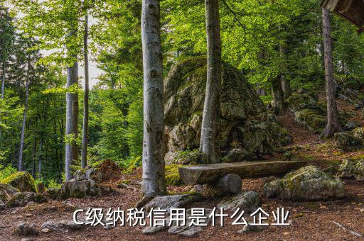 稅務(wù)等級(jí)c級(jí)是什么意思，申請(qǐng)一般納稅人abc類(lèi)是什么意思
