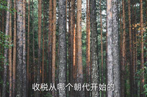 什么時(shí)候開始有稅收，稅是從什么時(shí)候開始的