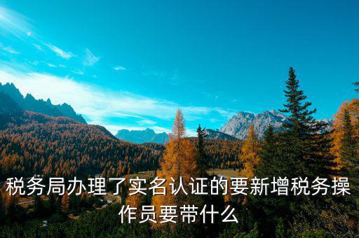 增加辦稅人員需要什么資料，請問怎樣才能增加一個辦稅人需要什么資料