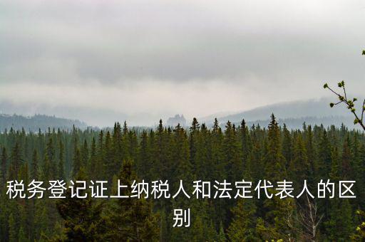 納稅人法定人是什么意思，稅務(wù)登記證上納稅人和法定代表人的區(qū)別