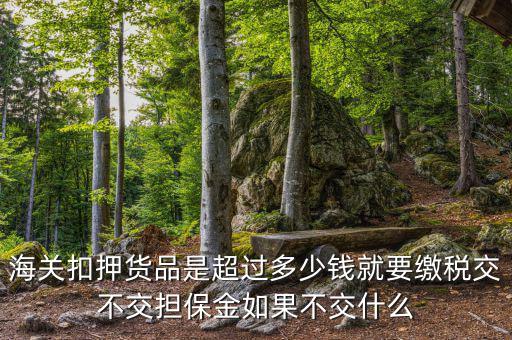 納稅擔保什么意思，海關扣押貨品是超過多少錢就要繳稅交不交擔保金如果不交什么