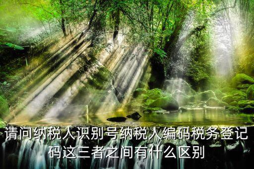 請(qǐng)問納稅人識(shí)別號(hào)納稅人編碼稅務(wù)登記碼這三者之間有什么區(qū)別