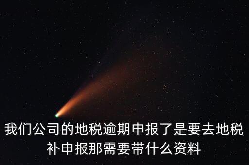 逾期申報(bào)需要帶什么資料，我們公司的地稅逾期申報(bào)了是要去地稅補(bǔ)申報(bào)那需要帶什么資料