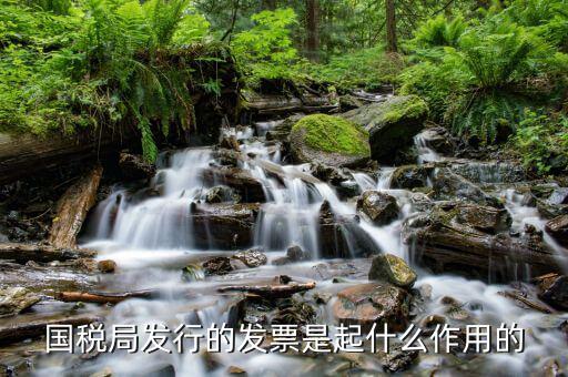 國家稅務(wù)局發(fā)票有什么用，發(fā)票有哪些作用呢