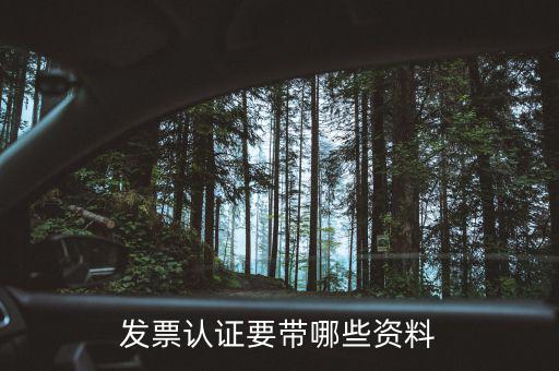 網(wǎng)上認(rèn)證發(fā)票需要什么，發(fā)票認(rèn)證要帶哪些資料