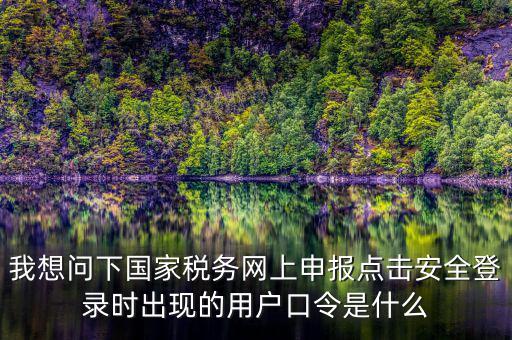 我想問(wèn)下國(guó)家稅務(wù)網(wǎng)上申報(bào)點(diǎn)擊安全登錄時(shí)出現(xiàn)的用戶(hù)口令是什么