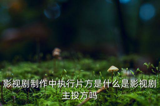 什么是分立主導(dǎo)方，股權(quán)分立是什么意思